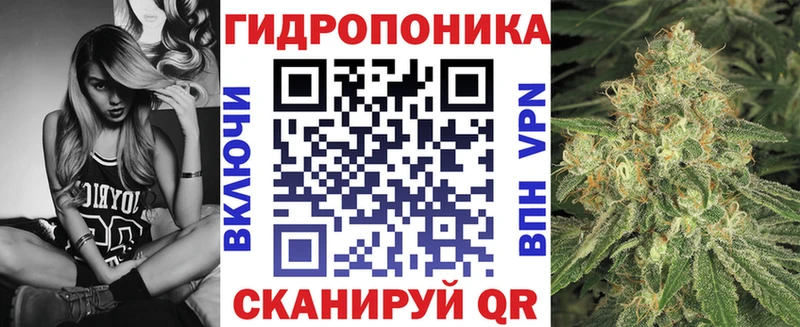 Шишки марихуана тримм  ОМГ ОМГ рабочий сайт  Лодейное Поле 